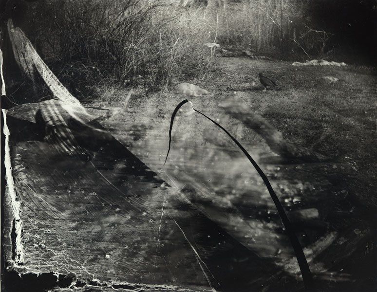sally_mann_body_farm_bw_12