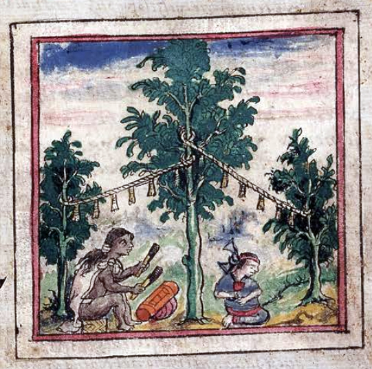 pag525