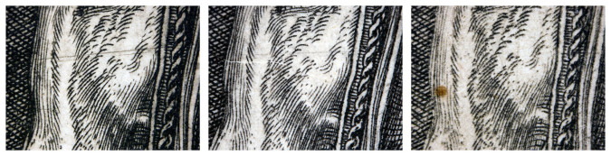 2.3_durer_03-675x173