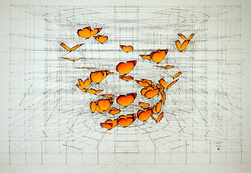architect-reveals-the-secret-of-natures-beautiful-designs-in-a-hand-drawn-coloring-book-31