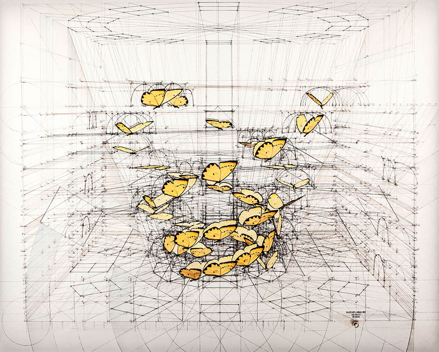 architect-reveals-the-secret-of-natures-beautiful-designs-in-a-hand-drawn-coloring-book8
