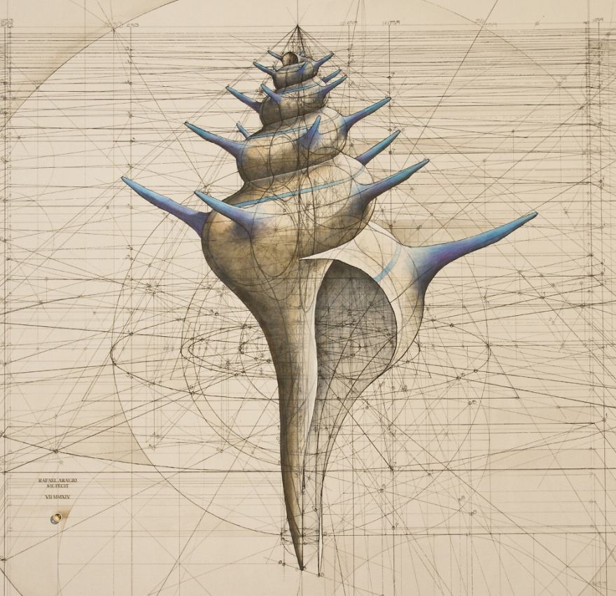 architect-reveals-the-secret-of-natures-beautiful-designs-in-a-hand-drawn-coloring-book__880