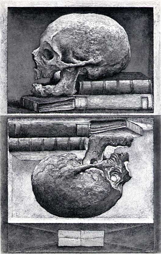 ED_MC_Skull