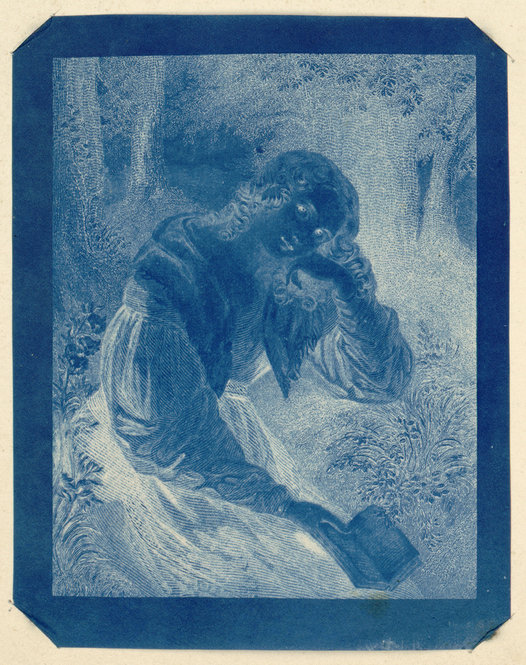 herschelcyanotype1