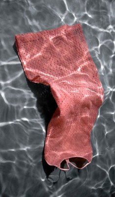 IMG_4452_pw