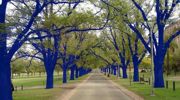 Konstantin-Dimopoulos-Blue-Tree-2-630x350