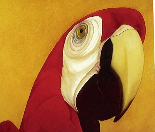272413282910d435a0189cc671663fc8--colombian-art-american-art