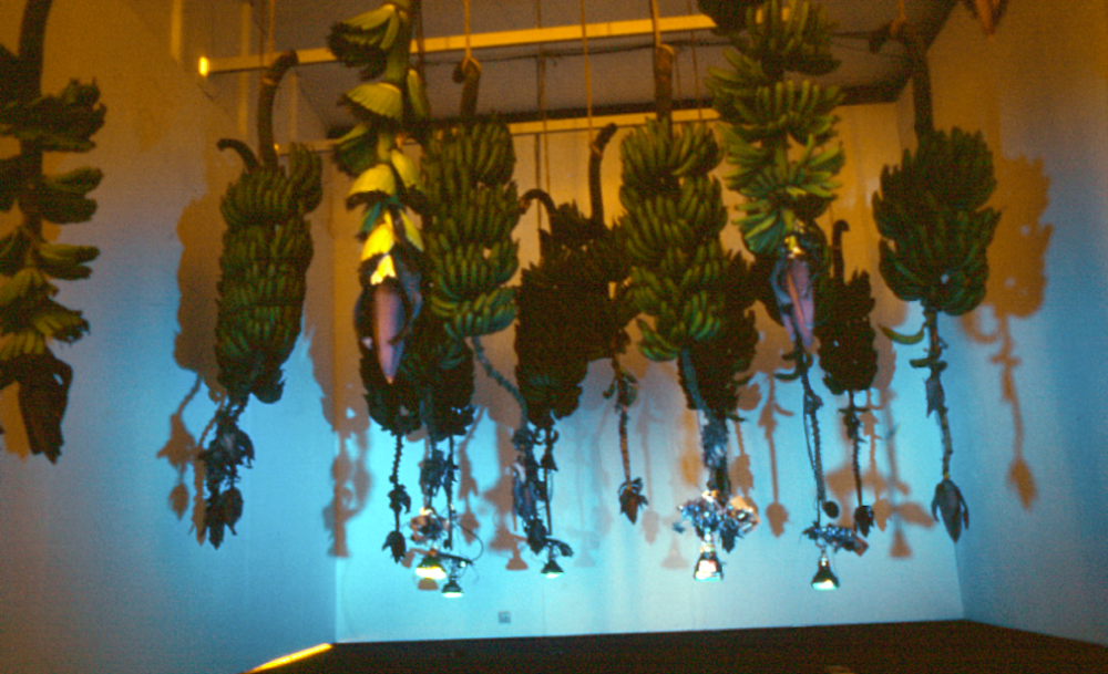 Musa-Paradisíaca-instalación