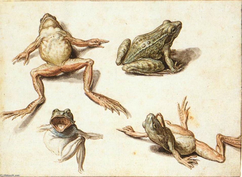 Jacob-De-Ii-Gheyn-Four-Studies-of-Frogs-2-