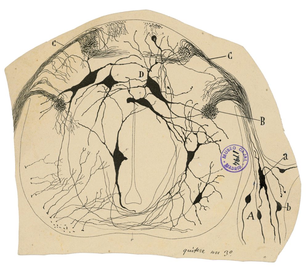 Drawing_01_2K-1720x1529.jpg
