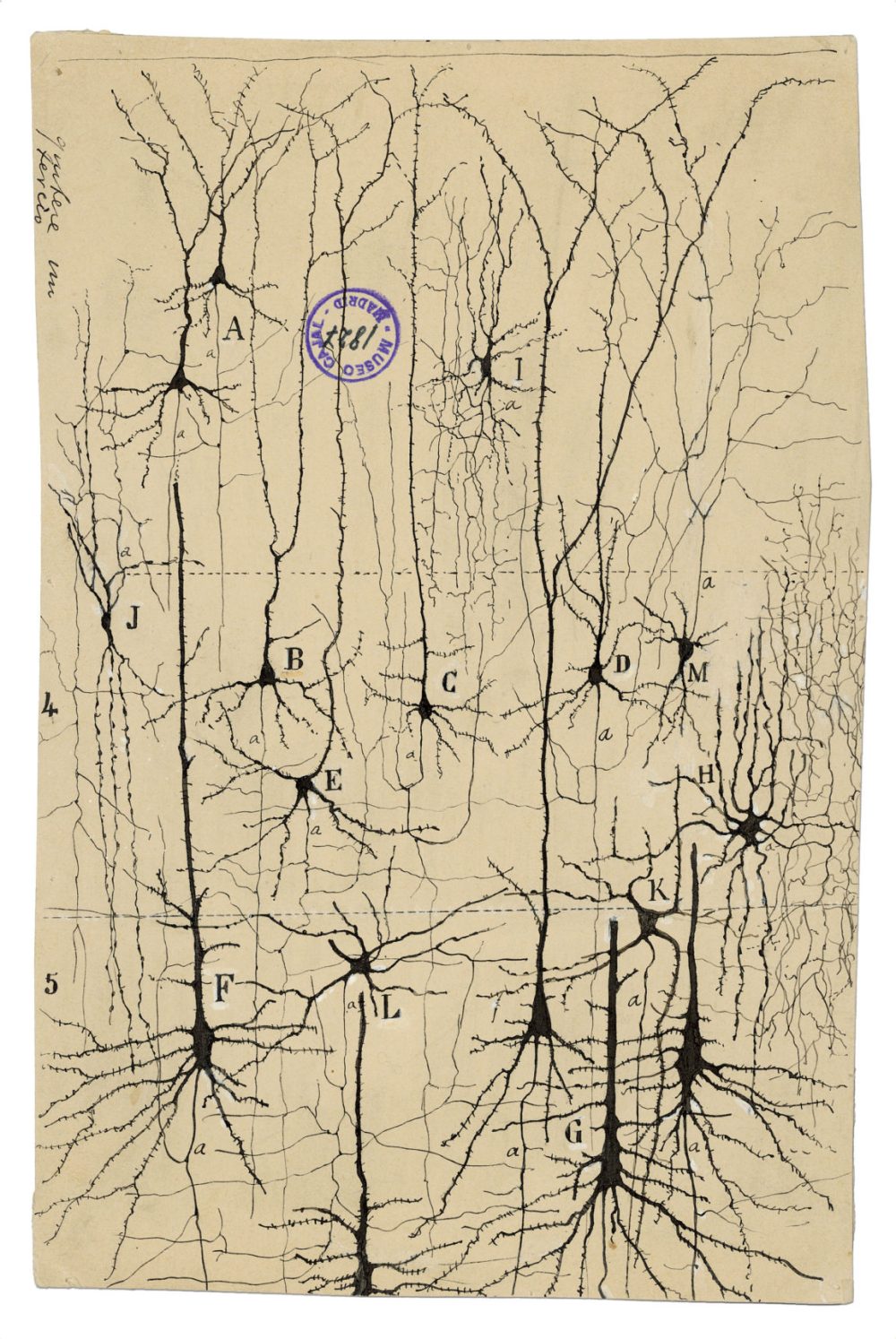 Drawing_03-1151x1720.jpg