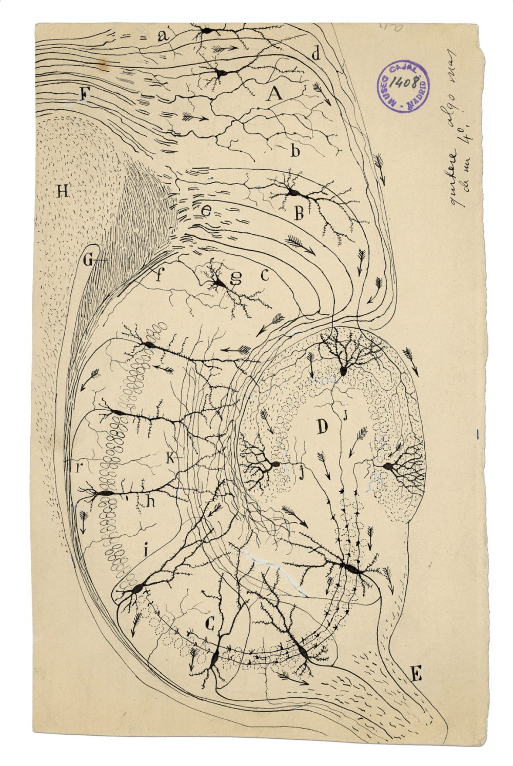 Drawing_04-1151x1720.jpg
