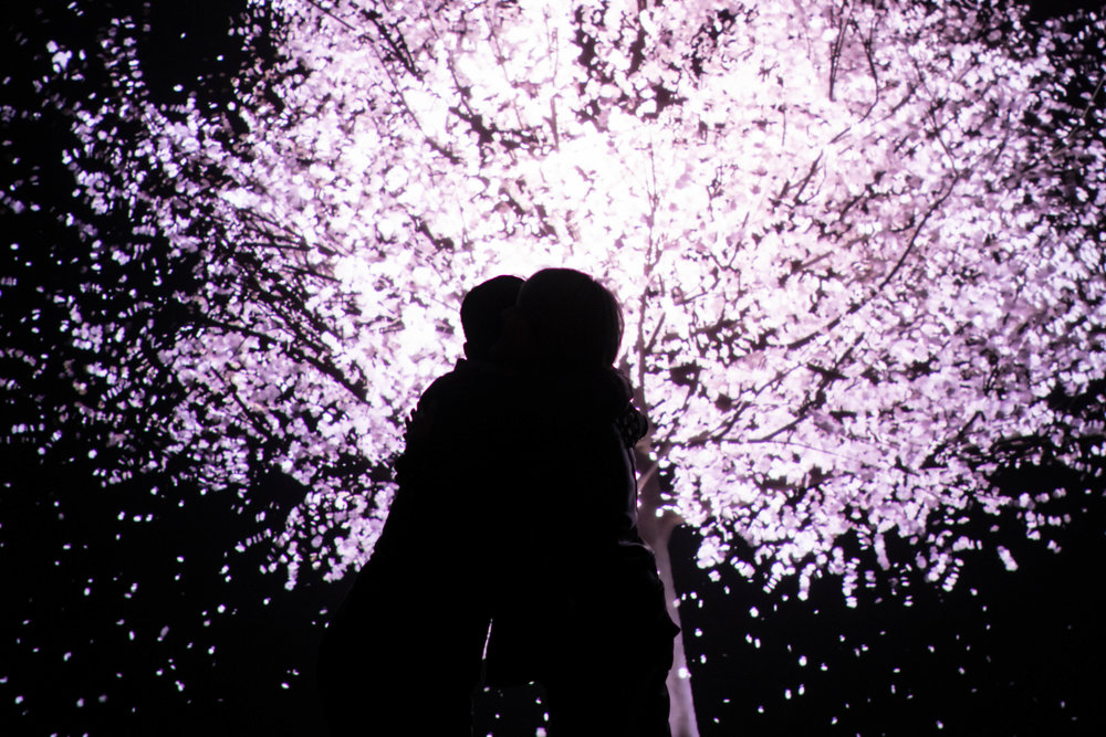 blooming3
