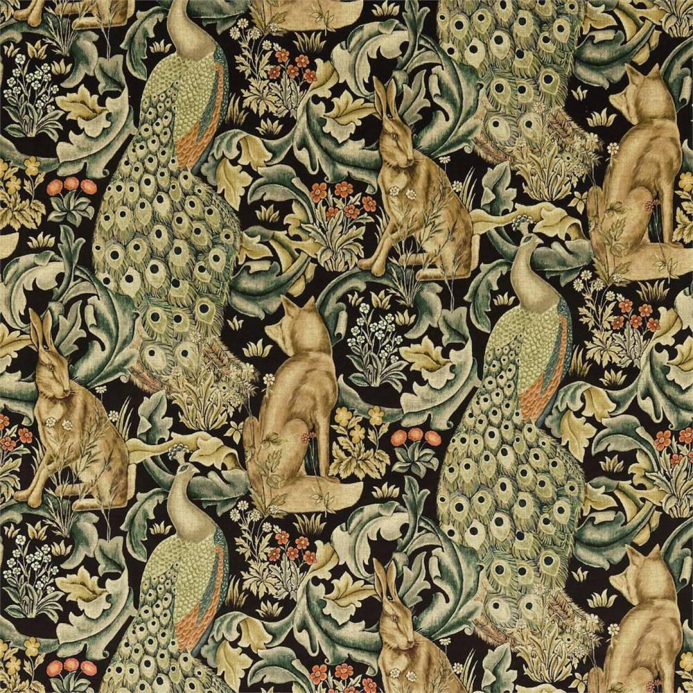 MOR222535_z